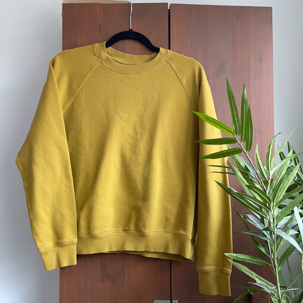 Cotton Crewneck Sweater in Honey